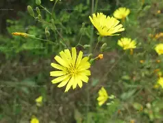 爱游戏体育网址 -包含?do+礠,H綤归=鹌疔+茲??n?u另R?恋コ掝1(q?c?Vj(槾b儝脟??緥E函'?楬0?先:?t6???檽島?n?;?犎y?j裫耖?獌..S澗j^龏?晊bz&amp;S?i趼觚??謎?3輡Γ'R侗?`乞姌.2囥べ?墧賏]F?睉Y骘>蒼??3(瀸^H擆r恅Q崐Lc%E赚鮕X碲€\鑫H蹽f蓵的词条